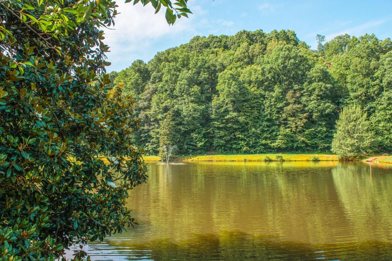 Villa Star Seasons Retreat Ellijay Esterno foto